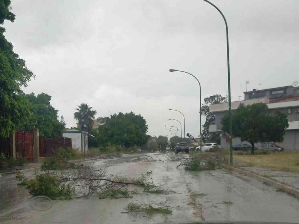 Immagine articolo: Maltempo a Menfi: strade invase da rami e detriti. Grandine a Sambuca e Santa Margherita