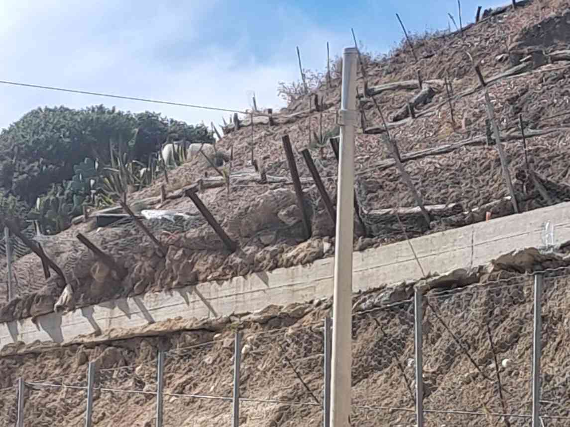 Immagine articolo: Frana di Porto Palo, gruppo Tamajo Belice sollecita l'Amministrazione: “Tavolo tecnico urgente“