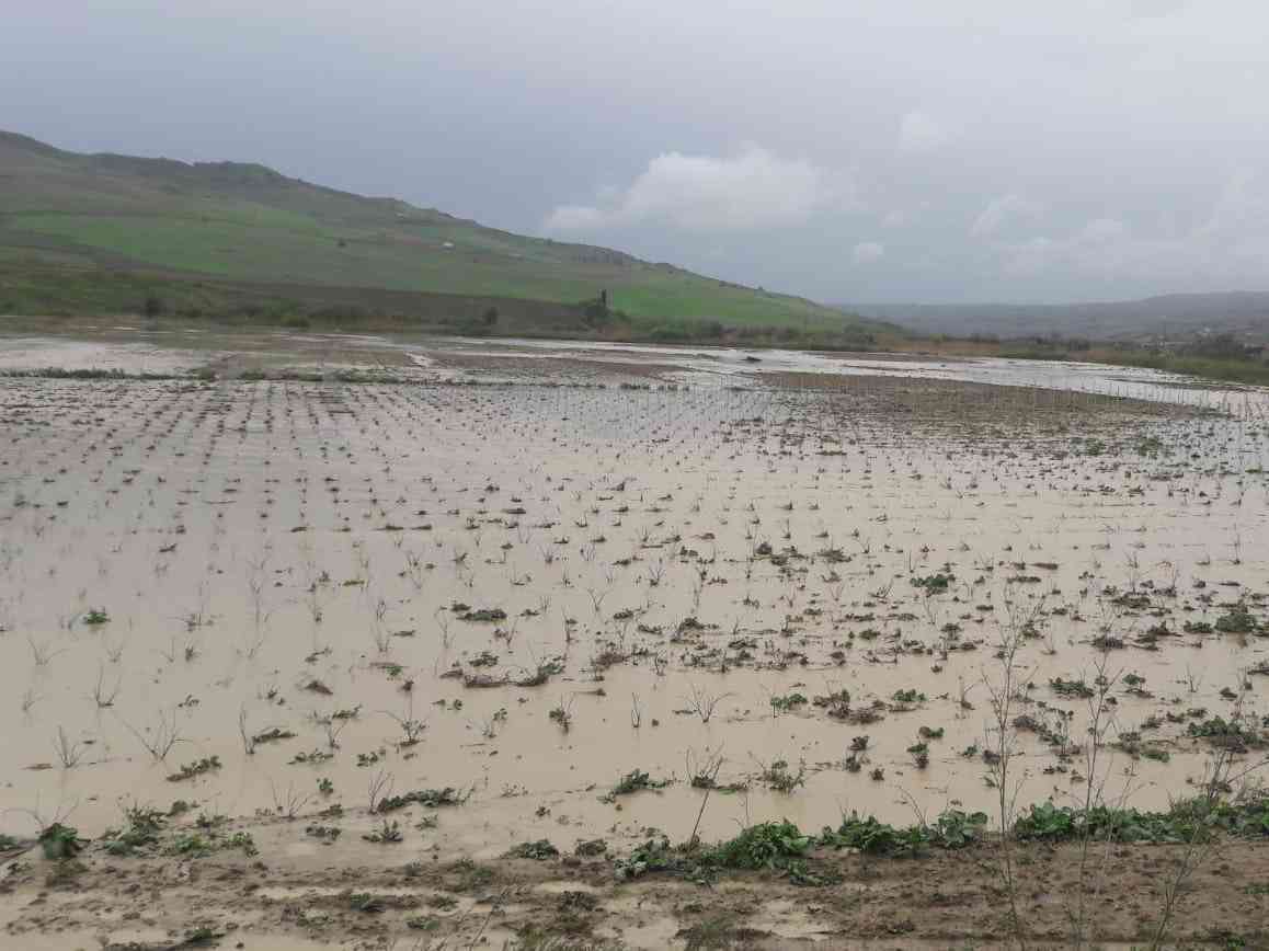 Immagine articolo: Salaparuta-Poggioreale, esondazione fiume Belìce