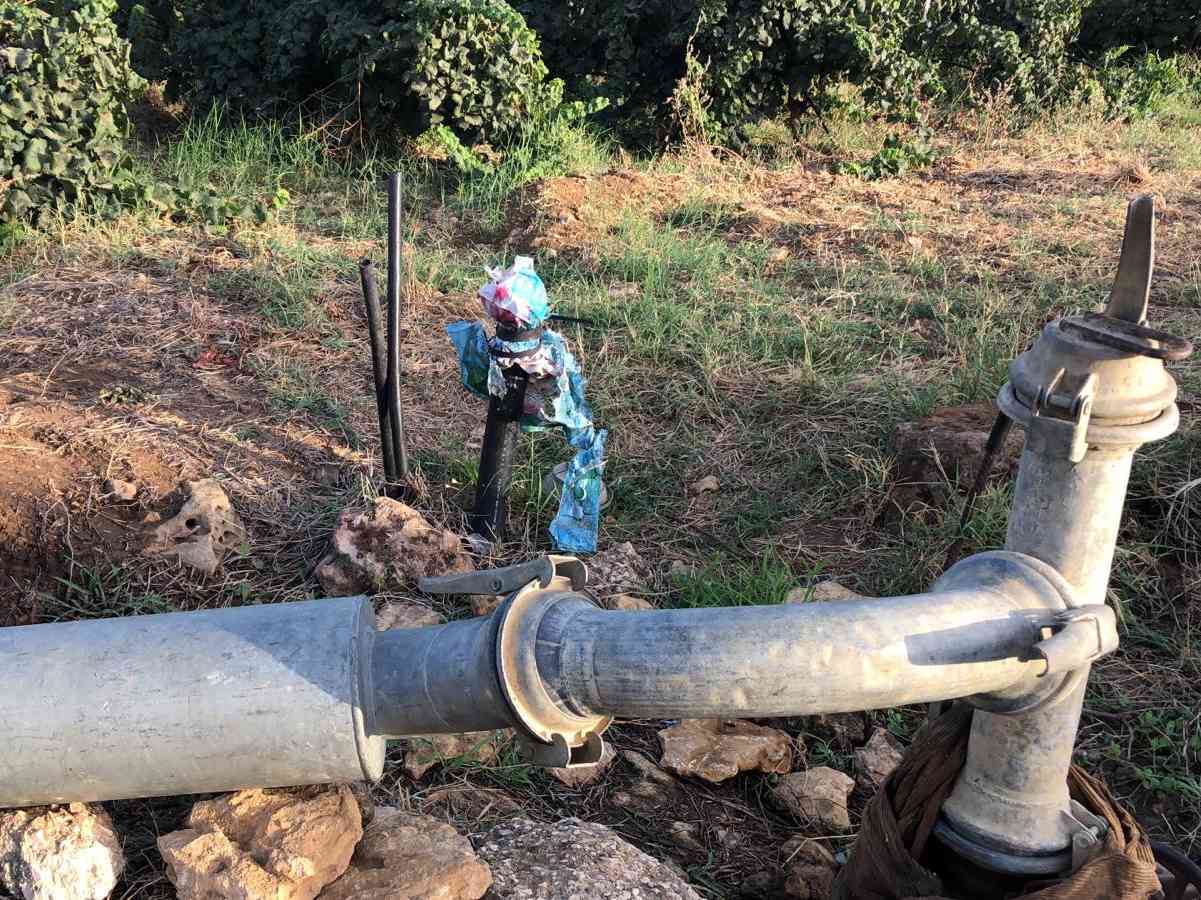 Immagine articolo: Siccità, l’acqua del depuratore di Castelvetrano per l’irrigazione a Menfi, Sambuca, Sciacca, Santa Margherita e Partanna