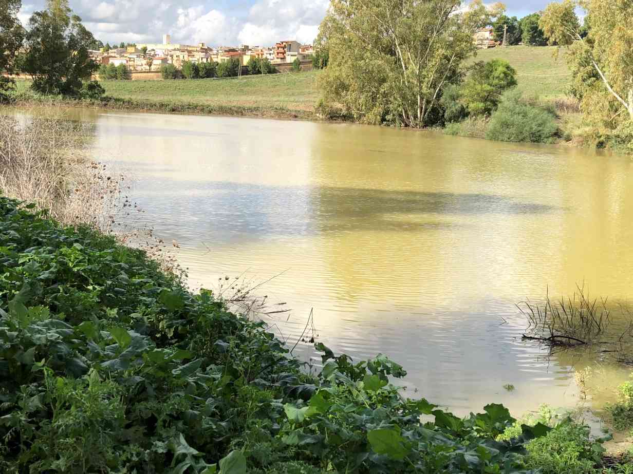 Immagine articolo: Salaparuta, precisazioni del Sindaco Saitta sulle forti piogge e sul lago in contrada Cusumano