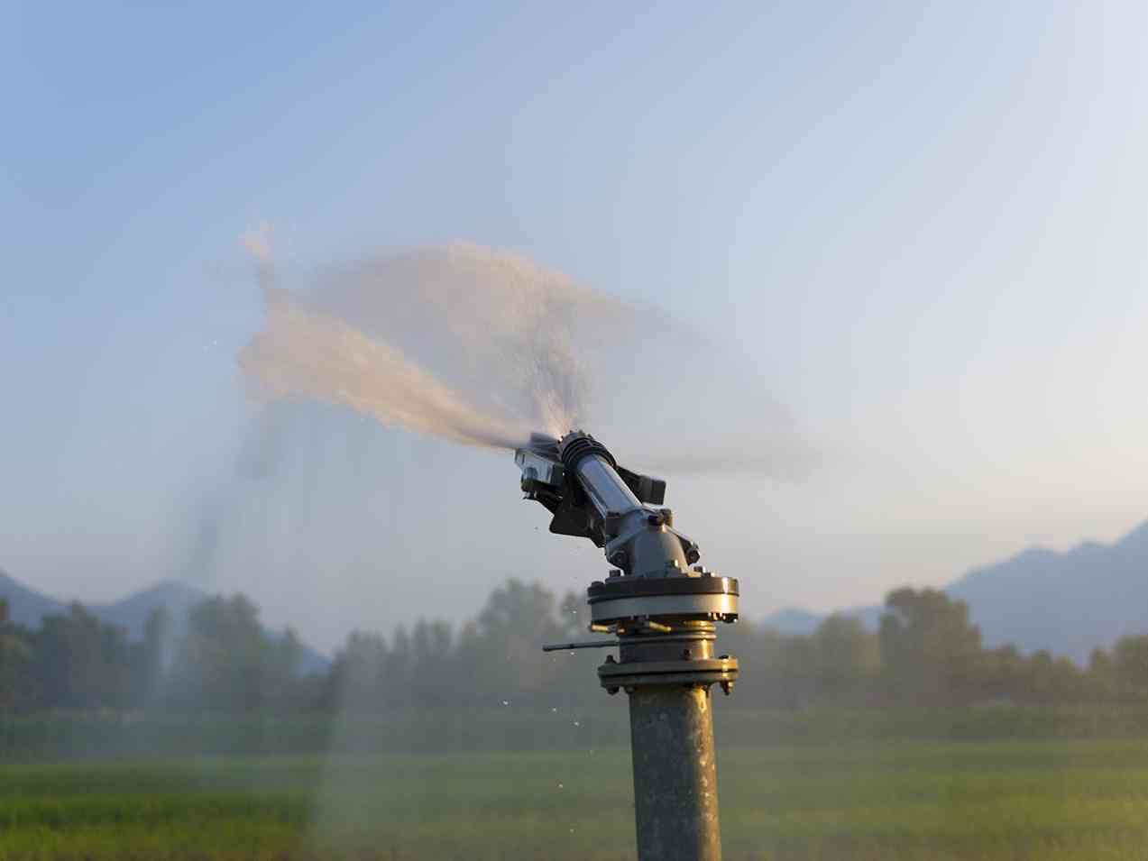 Immagine articolo: Approvata la stabilizzazione dei lavoratori dei Consorzi di bonifica