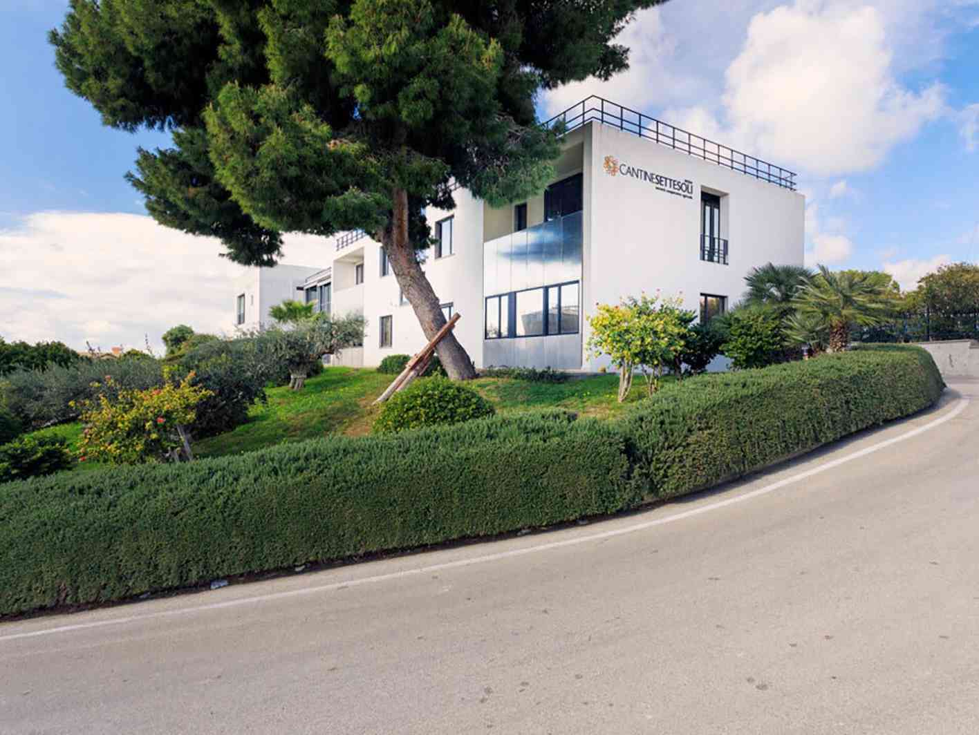 Foto: Benedetto Tarantino from cantinesettesoli.it