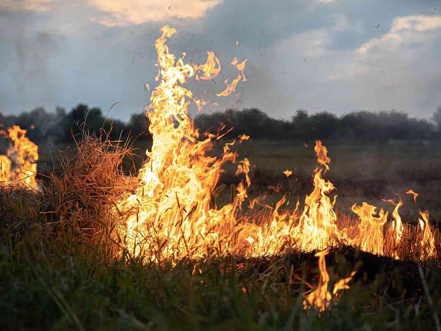 Immagine di repertorio