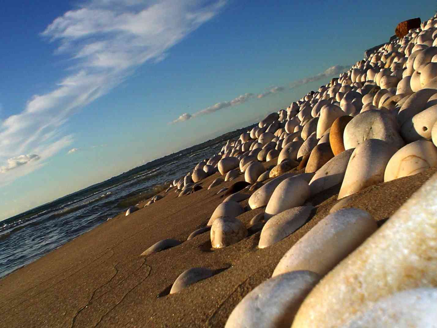 fonte media: mandrarossa.it