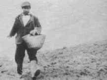 Immagine articolo: La semina del grano e l’Estate di San Martino. Quando la fede “guidava“ gli agricoltori