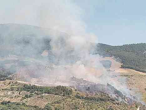 Immagine articolo: Roghi estivi, nell'Agrigentino tutto pronto per combatterli. A Sambuca a fuoco 20 ettari di terreno