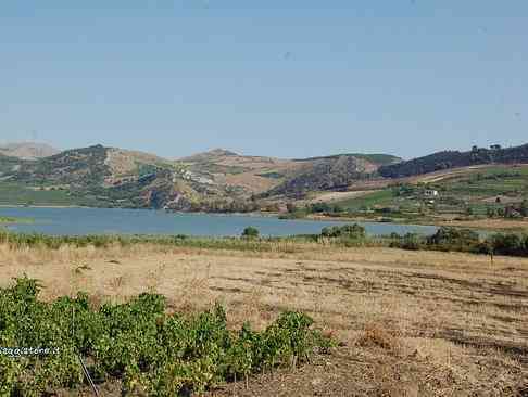 Immagine articolo: Crisi idrica: domani vertice in Regione su Lago Arancio. Agricoltori in piazza a Palermo