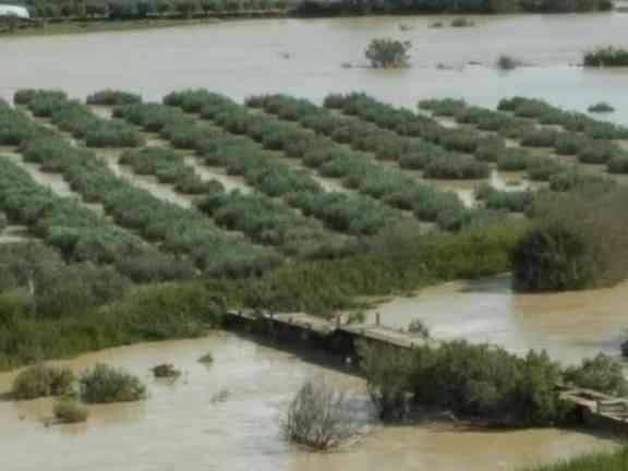 Immagine articolo: Danni all'agricoltura nel belicino dopo il recente nubifragio. Sette giorni per presentazione istanza presso gli Uffici Intercomunali Agricoltura