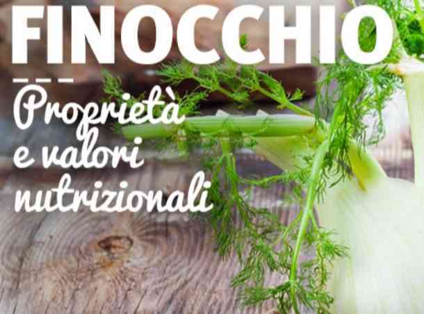 Immagine articolo: Alla “scoperta“ del finocchio tra proprietà, valori nutrizionali e calorie