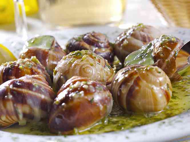 Immagine articolo: “Li muntuna“ e “li babbaluceddi“: i gasteropodi ad alto valore nutrizionale che curavano le gastriti