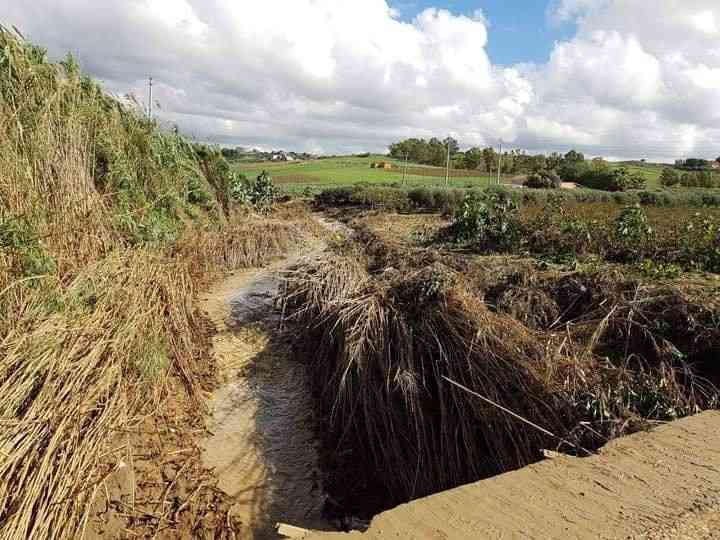Immagine articolo: Menfi, pulizia valloni e torrenti. Catanzaro (PD) sollecita interventi di prevenzione