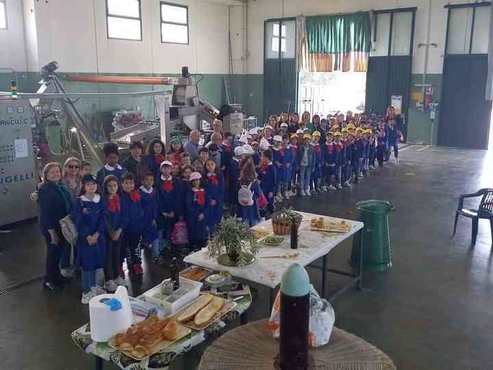Immagine articolo: Menfi, alla fonte dell'olio. Visita dei giovani alunni dell'Istituto Comprensivo “Santi Bivona“ al frantoio Botta