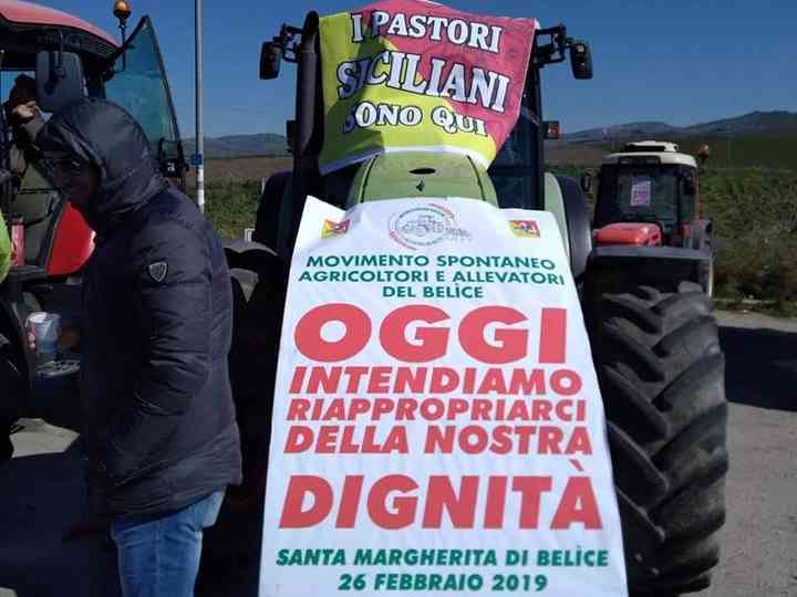 Immagine articolo: Dopo le proteste, gli impegni del Governo regionale