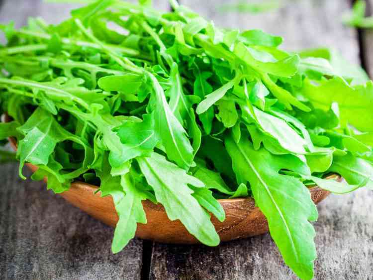 Immagine articolo: Rucola, storia e proprietà dell'afrodisiaco naturale considerato anche un ottimo antianemico