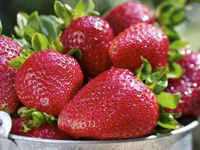 Immagine articolo: Alla “scoperta“ delle fragole: benefici per la salute e proprietà