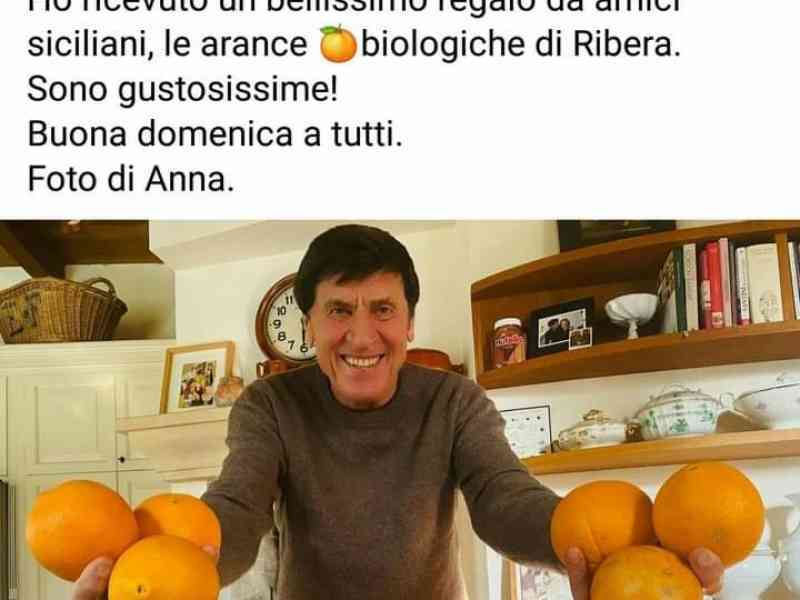 Immagine articolo: Gianni Morandi elogia le arance biologiche di Ribera.