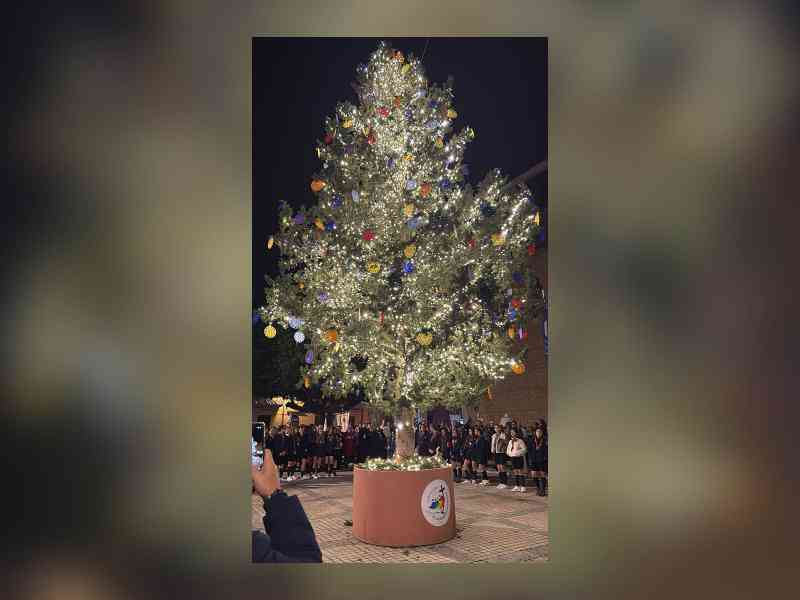 Immagine articolo: Menfi, accese le luci del Natale: l'albero in piazza è un inno alla pace