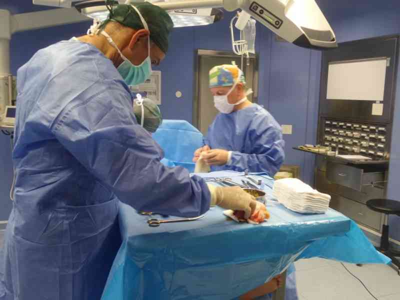 Immagine articolo: Morso da un ragno, viene salvato dai medici dell'ospedale di Ribera