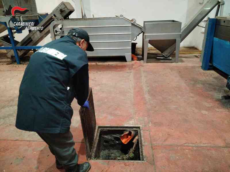 Immagine articolo: Campagna olearia 2023. Controlli dei Carabinieri in tutta la provincia. 5 denunciati
