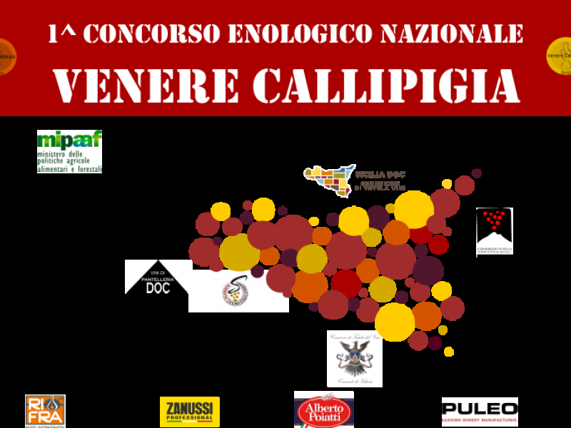 Immagine articolo: Salaparuta, premi per cantine locali a prestigioso concorso enologico nazionale