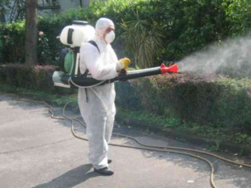 Immagine articolo: Santa Margherita, via alla disinfestazione delle caditoie nel centro urbano. Lavori affidati ad una ditta castelvetranese