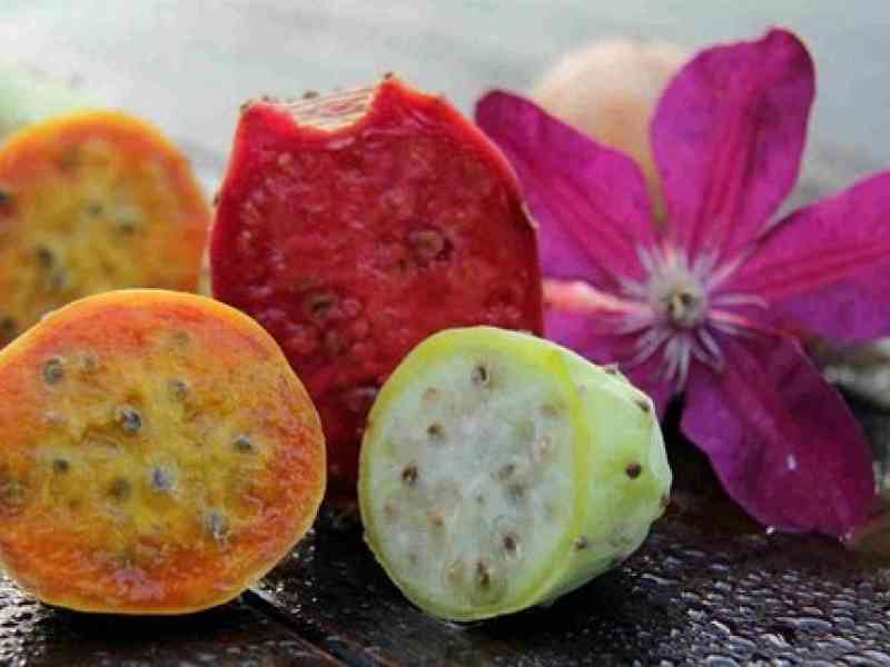 Immagine articolo: I fichi d'india tra proprietà e benefici. Ecco perchè fa bene mangiare “li ficurini scuzzulati“ detti anche “bastarduna“