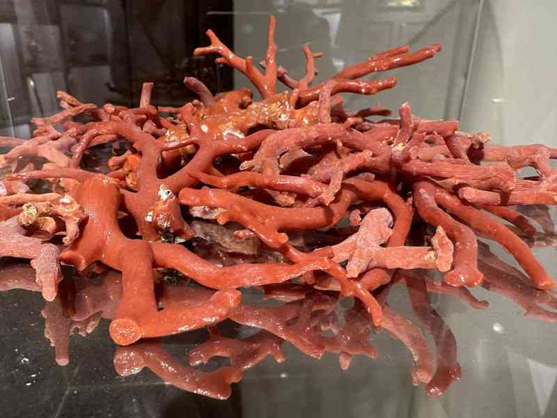 Immagine articolo: Si inaugurano a Sciacca museo del corallo e mostra