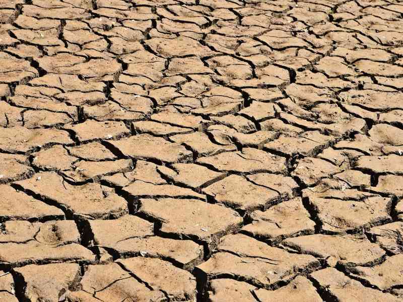 Immagine articolo: Crisi idrica. Cia Sicilia Occidentale: “settore agricolo in ginocchio“