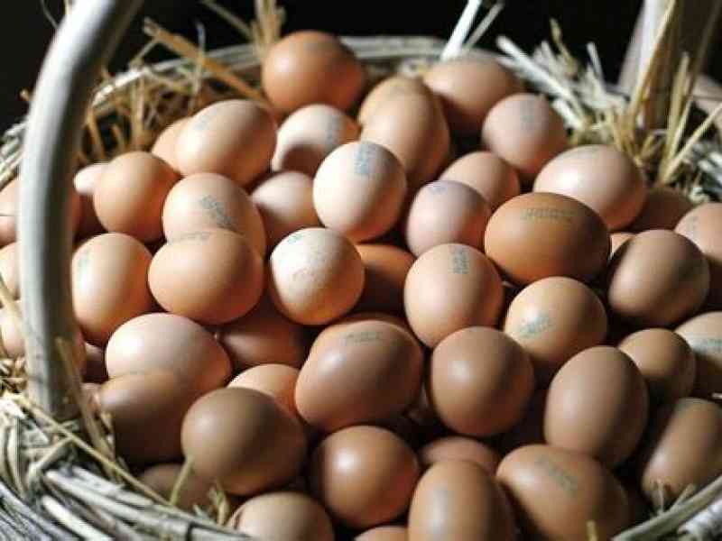 Immagine articolo: “Passa l’acqua nova, ch’un avi sordi ci metti l’ova”. Storia di un detto mai dimenticato