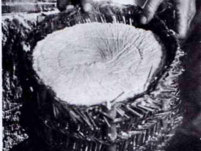 Immagine articolo: “Lu Tumazzu“ e “la quarara“ tra gastronomia, usanze e gusti speciali della nostra terra