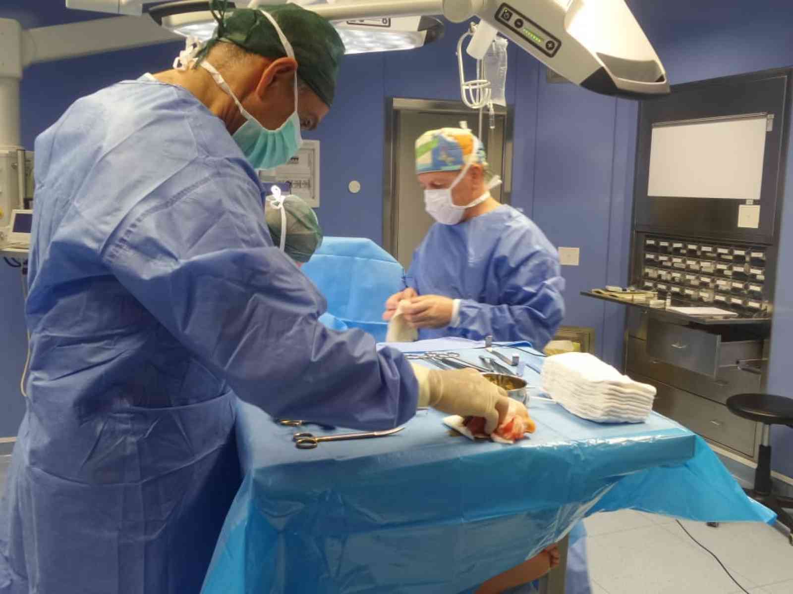 Immagine articolo: Morso da un ragno, viene salvato dai medici dell'ospedale di Ribera