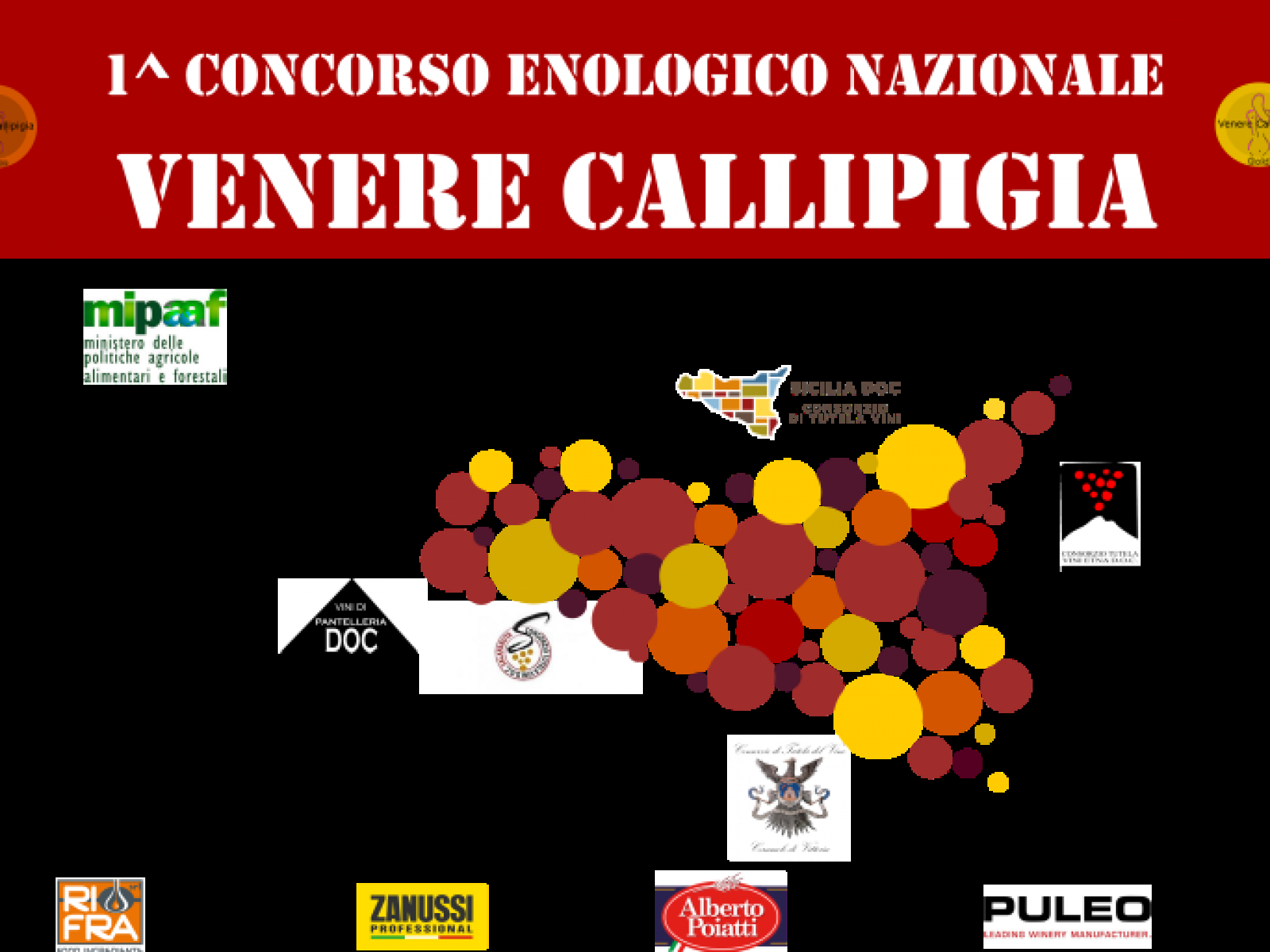 Immagine articolo: Salaparuta, premi per cantine locali a prestigioso concorso enologico nazionale