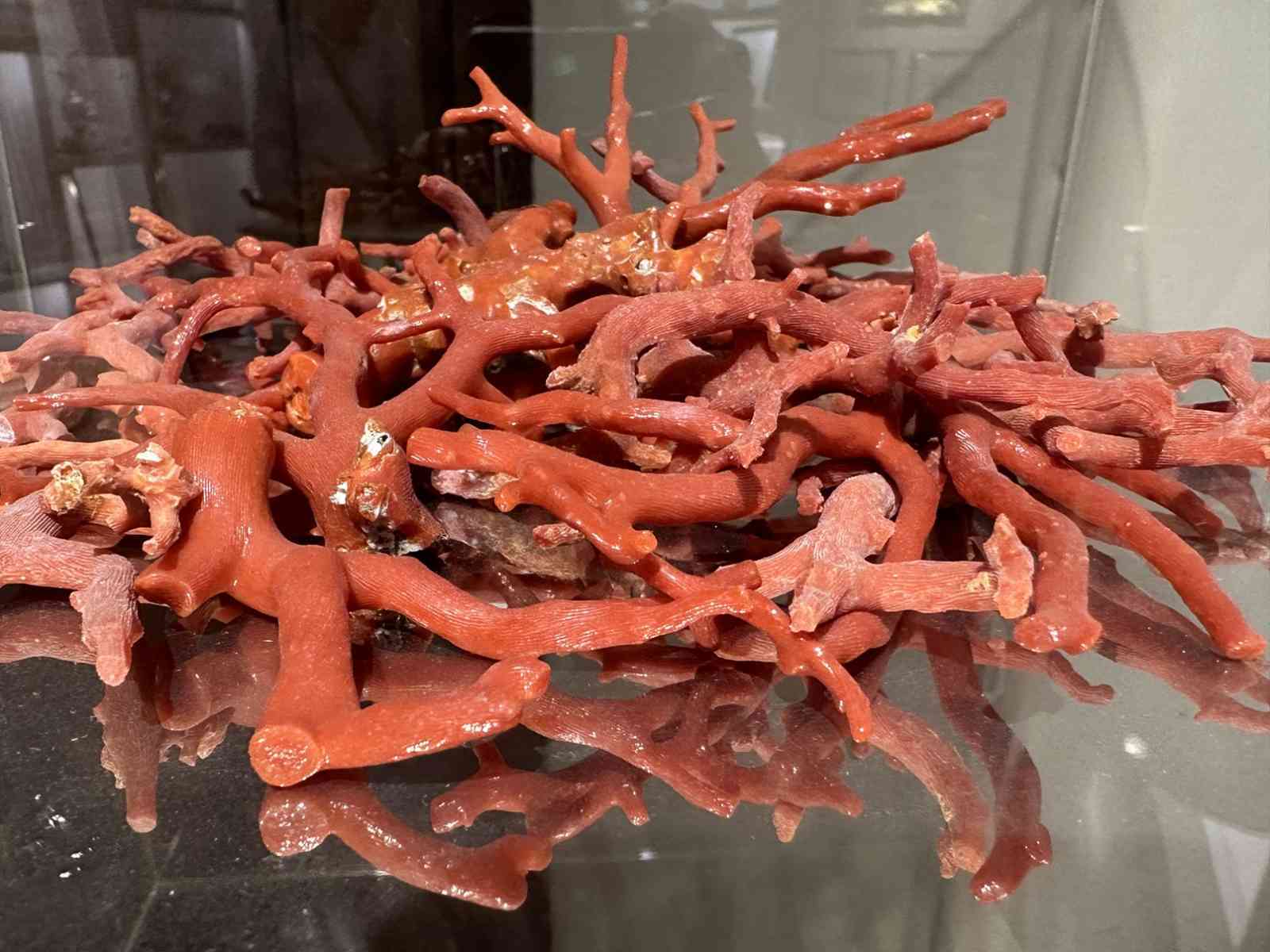 Immagine articolo: Si inaugurano a Sciacca museo del corallo e mostra