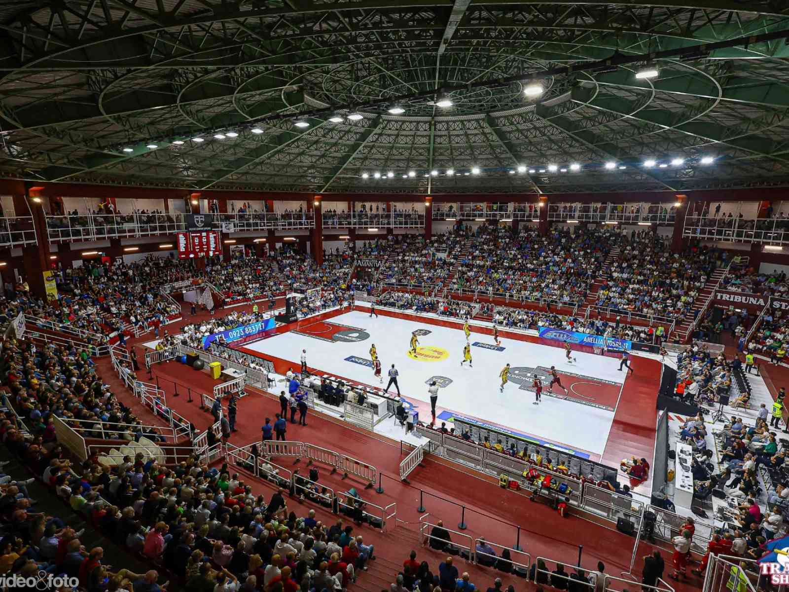 Foto - trapanishark.it