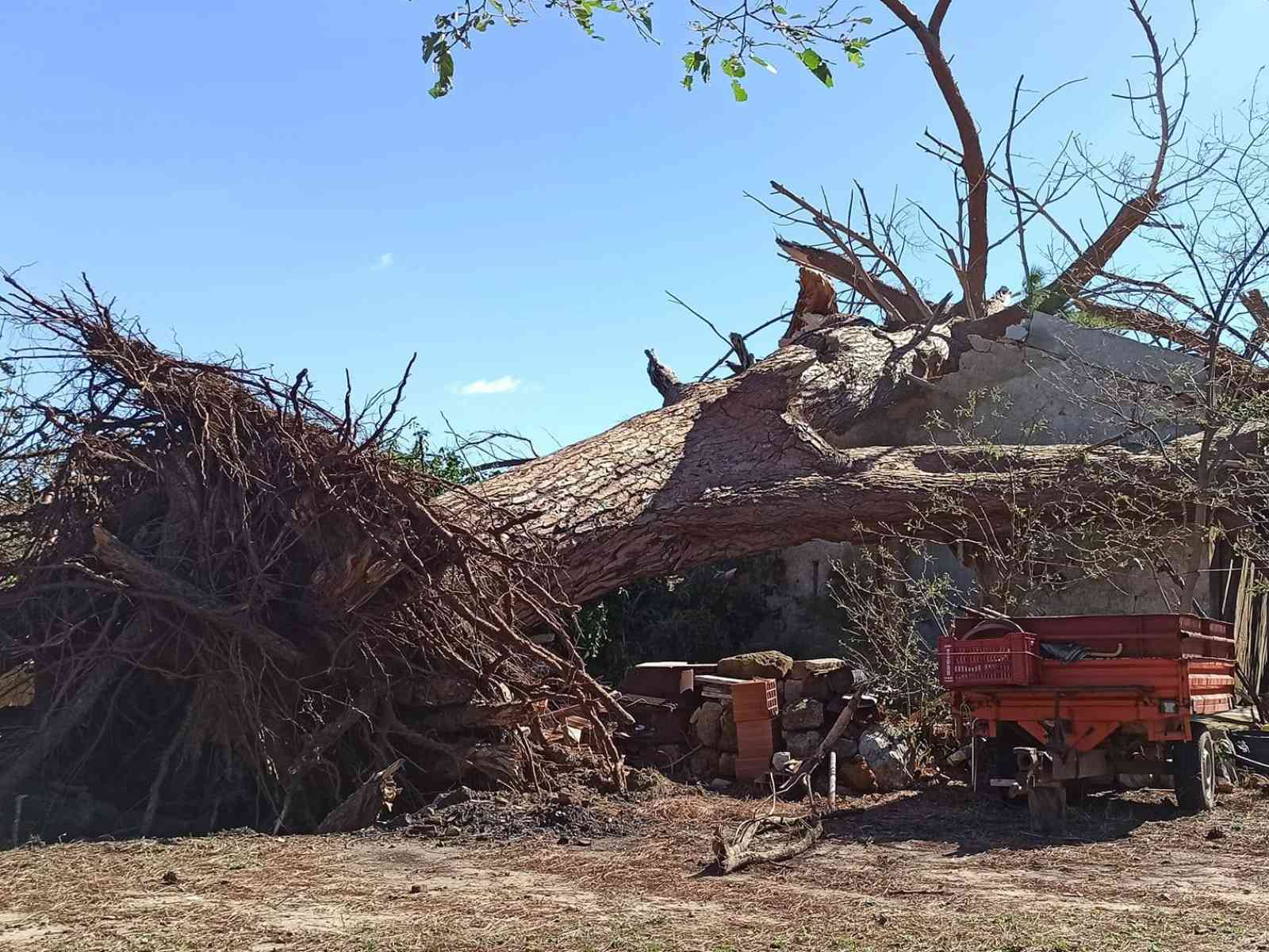 ph: Il Futuro dipende da te