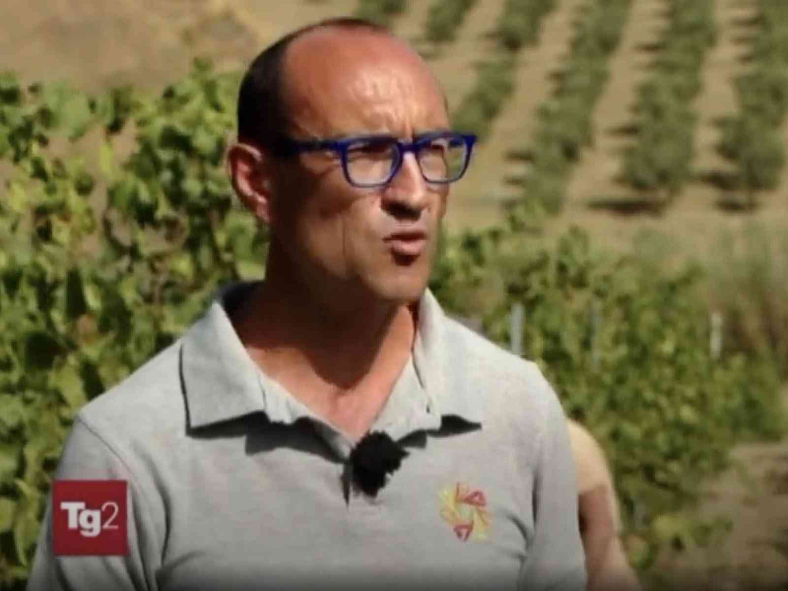 Immagine articolo: Il TG2 a Menfi per raccontare l'inizio anticipato da record della vendemmia
